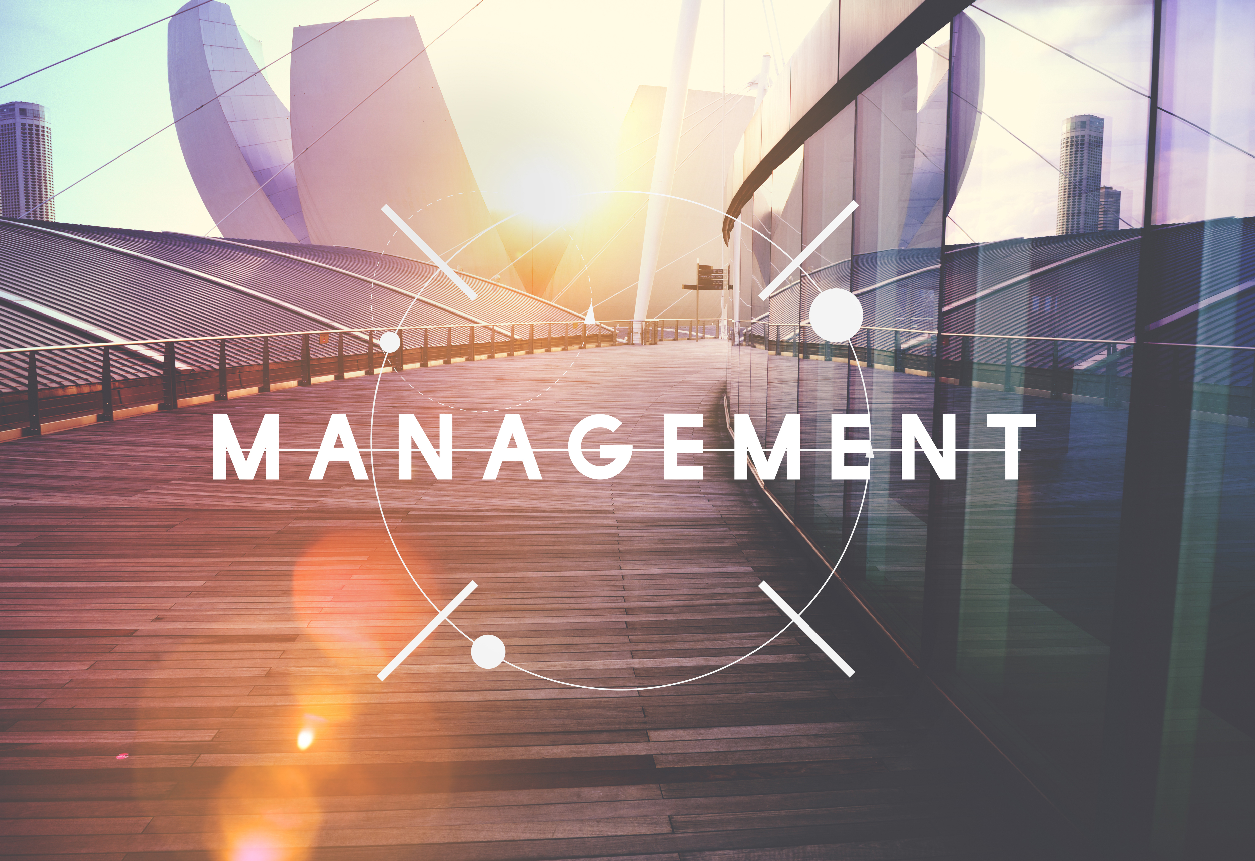 Conseil en Organisation